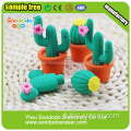 La gomme à modeler de caoutchouc de cactus pour la décoration à la maison